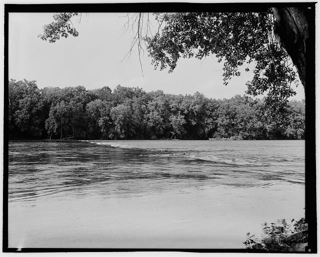 Water, Natural landscape, Nature, Plant