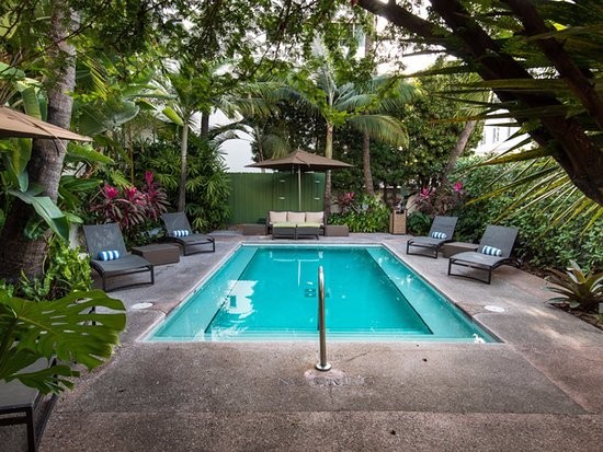 The Essex House's pool in a tropical setting.  