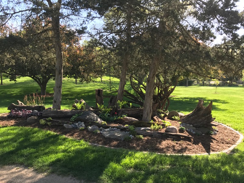 Decorative flower bed in Botanical Garden