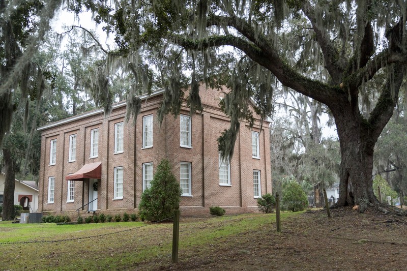 Plant, Building, Window, Tree