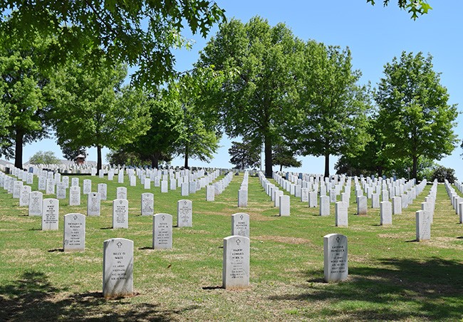 Cemetery, Grave, Headstone, Tree