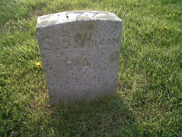 Plant, Cemetery, Grass, Grave