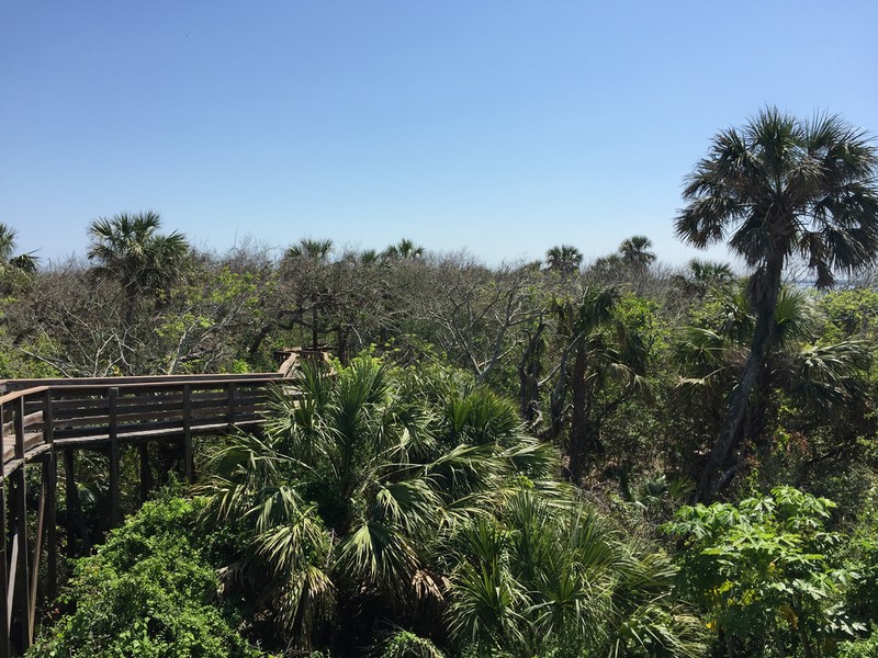 Trails that guide around the area