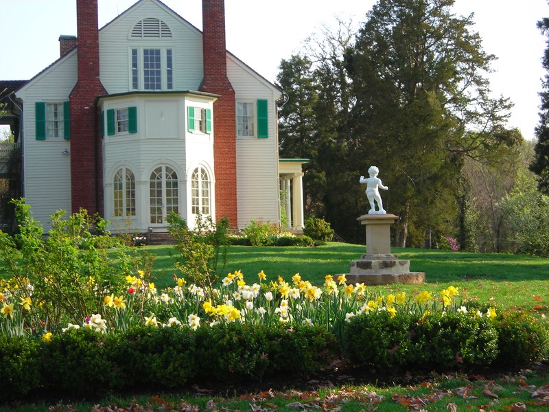 Triangular Beds, Spring