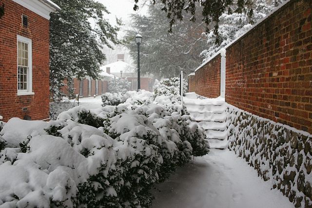 Between the Gardens and the East Range of the University of Virginia