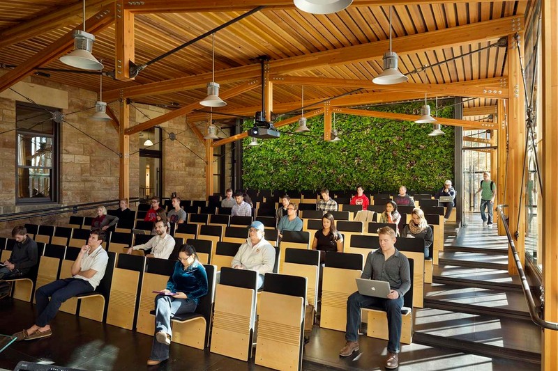 Chair, Leisure, Shade, Plant