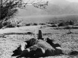 The first grave in the cemetery at Manzanar is that of Matsunosuke Murakami, 62. He had arrived ill on arrival on March 23, 1942, was hospitalized in camp, and died of heart disease on May 16, 1942.