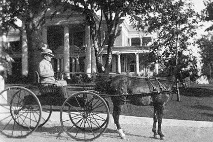 Wheel, Land vehicle, Horse, Vehicle