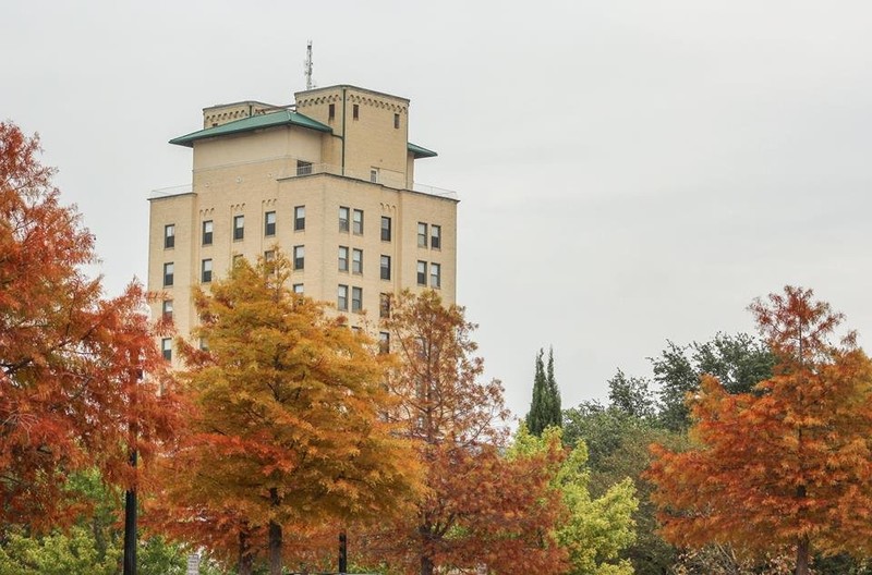 Sky, Building, Plant, Tree