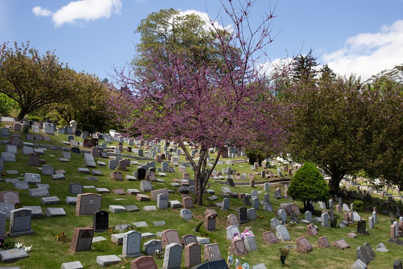 Hartsdale Pet Cemetery - Wikipedia