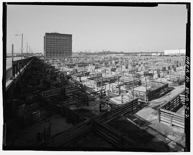 View of the South Omaha Livestock Exchange Building towering over the stockyards.
Courtesy of the Library of Congress