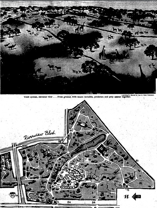 1965 Original Layout of the Omaha Henry Doorly Zoo alongside artist's depiction of zoo. Courtesy of The Omaha World Herald