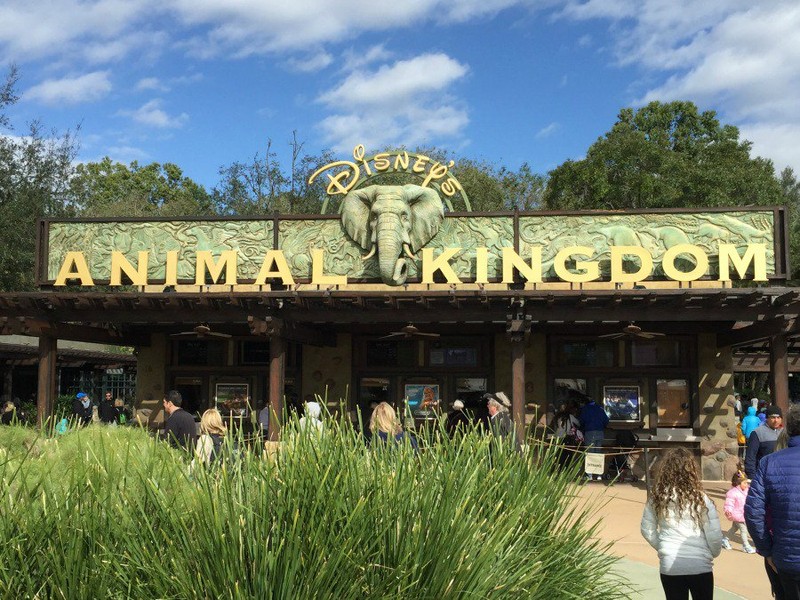 Entrance To Disney's Animal Kingdom