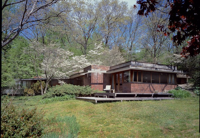 Plant, Building, Window, Natural landscape