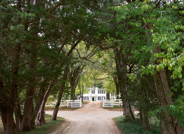 Tree-lined entrance way leading up to the Tuckahoe house