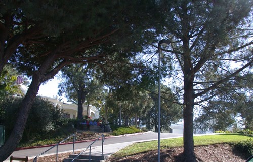 The Spaulding house to the left still exists today and serves as the administration building. This became the Point Loma Nazarene College in 1973 and is now Point Loma Nazarene University. 
