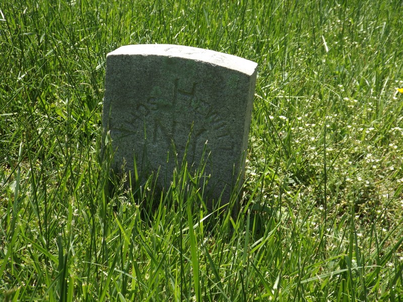 Plant, Natural environment, Vegetation, Cemetery