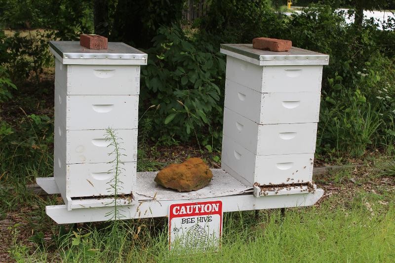 Bee Hives, Hancock's Resolution