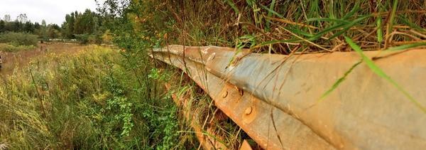 Overgrowth at the track