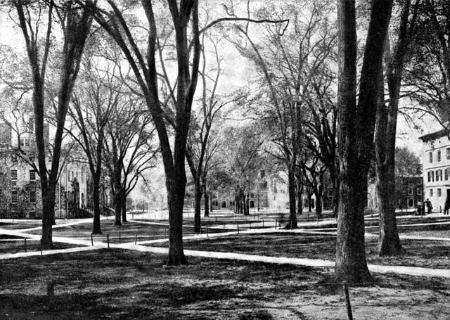 Harvard Yard Ca. 1920