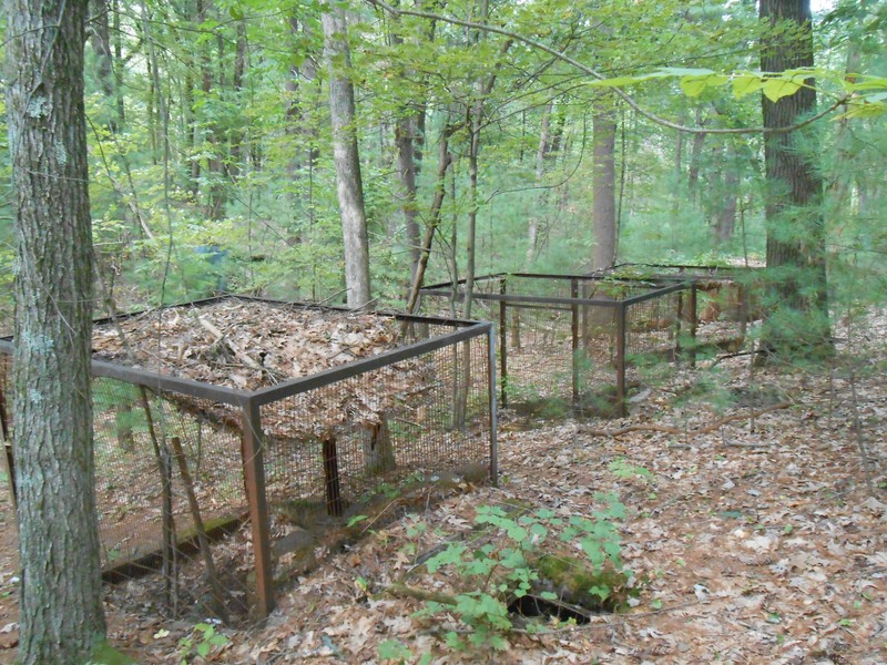 more cages for Shade Swamp Zoo 