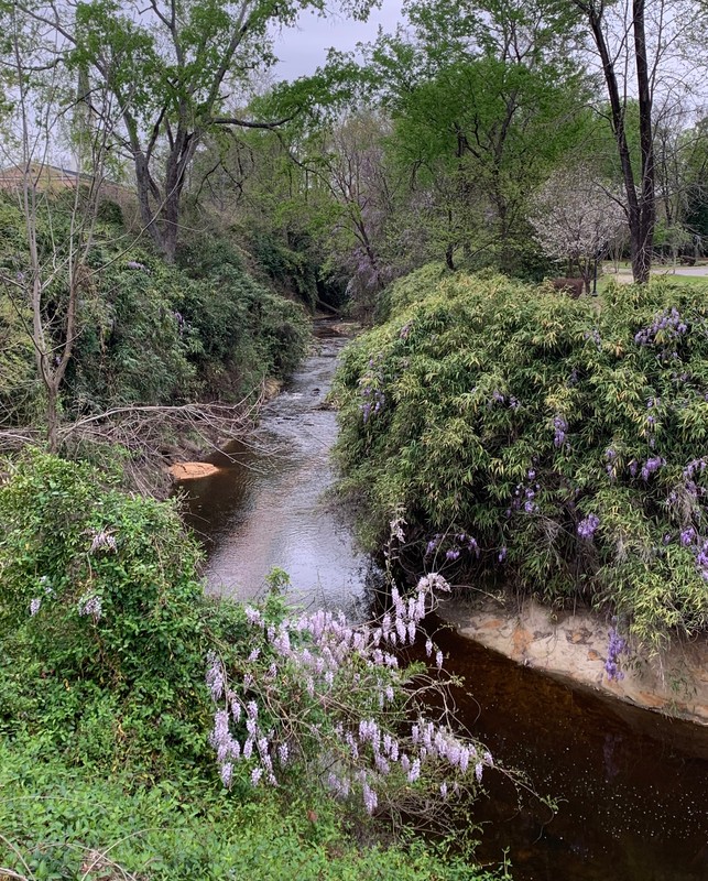 View of Cross Creek by Cool Spring Tavern