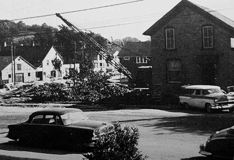 Car, Building, Plant, Vehicle