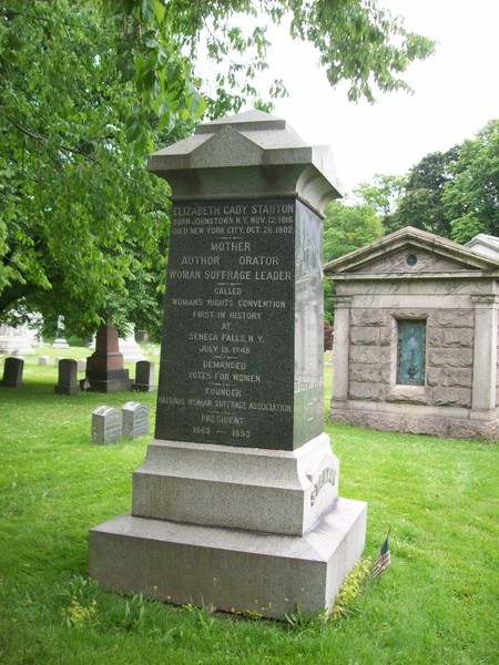 Plant, Cemetery, Tree, Window