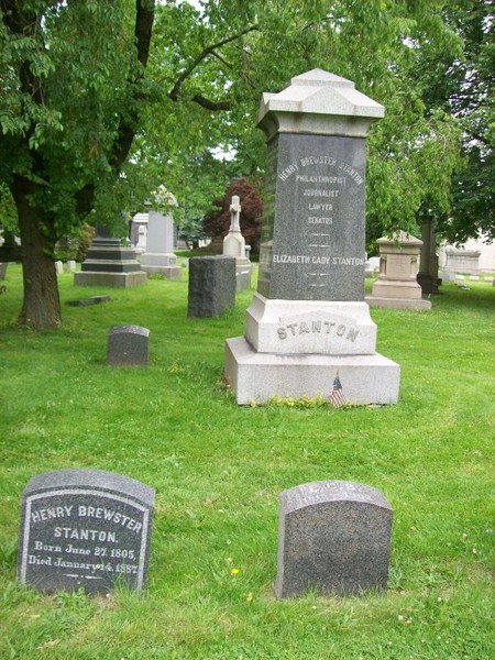 Plant, Tree, Leaf, Cemetery