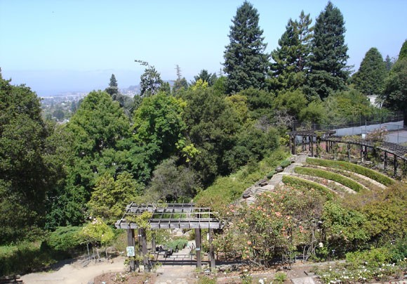Berkeley Municipal Rose Garden Overview (2010)