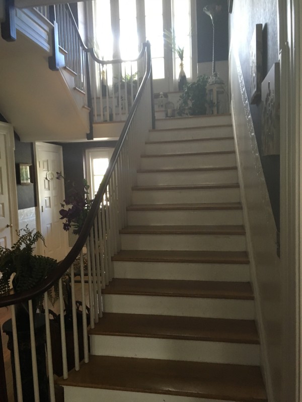 Purple Iris at Hartwood Mansion (2017) Staircase.