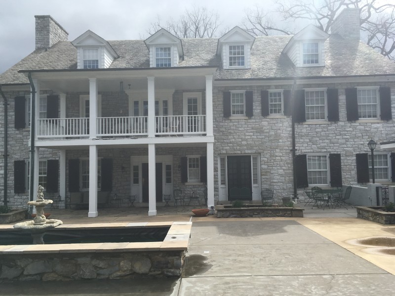 Purple Iris at Hartwood Mansion (2017) Back. 