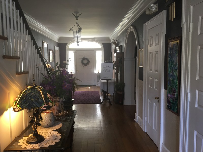 Purple Iris at Hartwood Mansion (2017) 