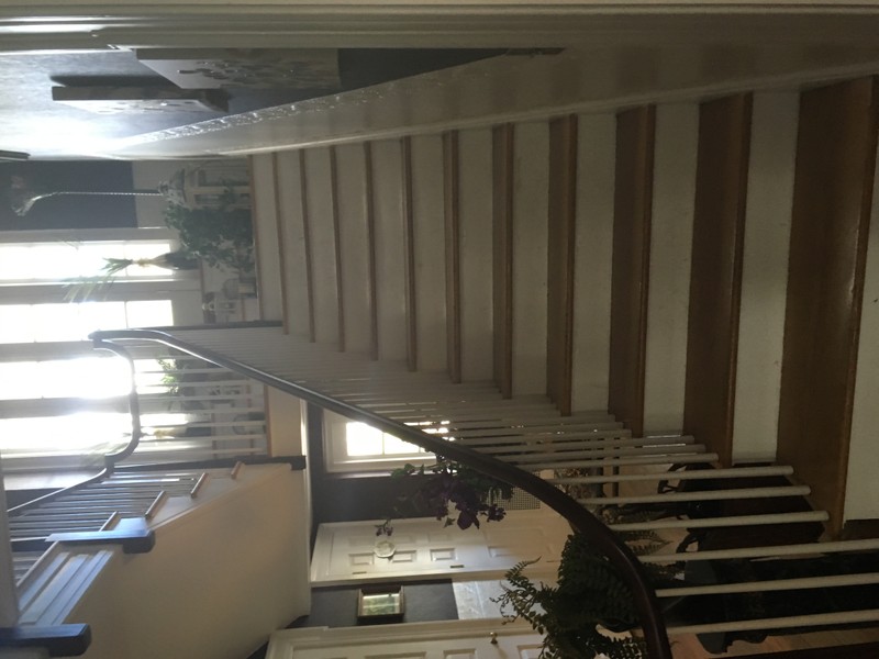 Purple Iris at Hartwood Mansion (2017) Staircase.