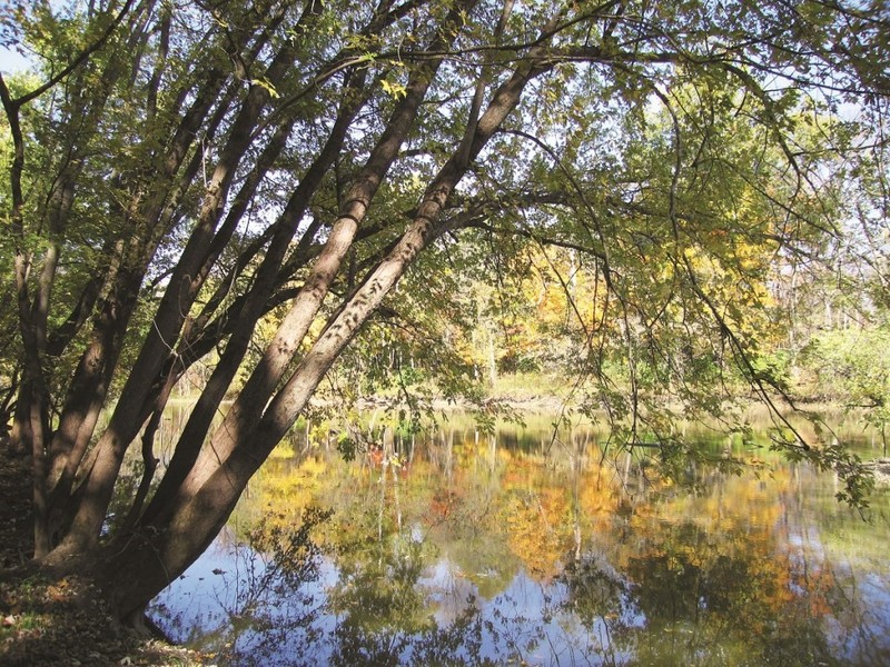 Water, Natural landscape, Sky, Plant