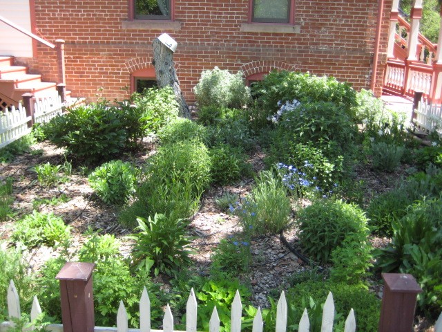 Four Mile Herb Garden