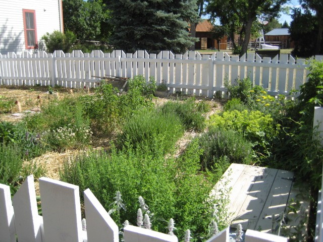 Four Mile Kitchen Garden