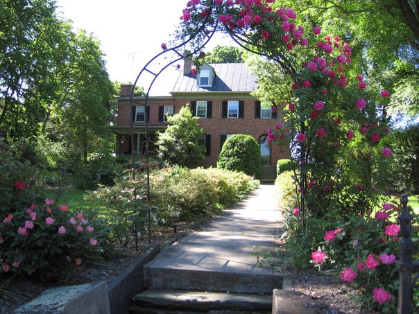 Plant, Flower, Shrub, House