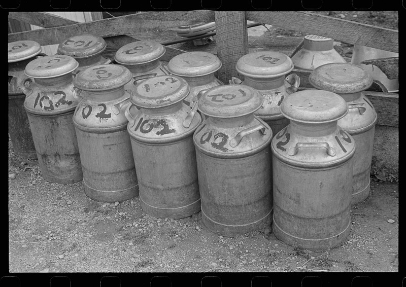 Canisters like these kept milk cool while in transport from the farm to a processing facility. There, the milk would be pasteurized and bottled for consumer use. A typical canister held five gallons of milk.