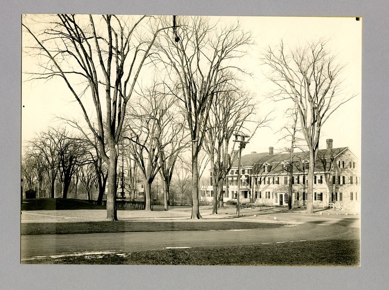 Rectangle, Tree, Building, Woody plant