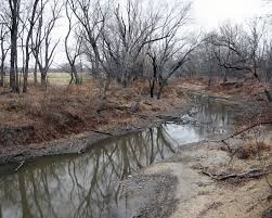 Shoal Creek bordering the site at Haun's Mill. Mormon leaders asked for quarter. This request fell upon deaf ears and villagers fled across this creek including many women and children.