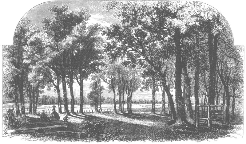 The site of the Battle of Tippecanoe as it appeared in 1860, see http://freepages.history.rootsweb.ancestry.com/~wcarr1/Lossing2/Chap10.html, accessed May 7, 2017