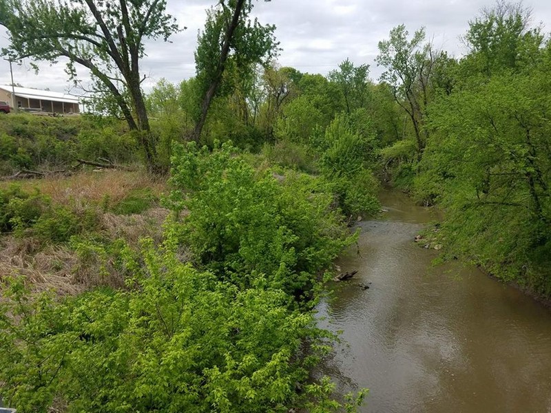 Creek North of the Bridge