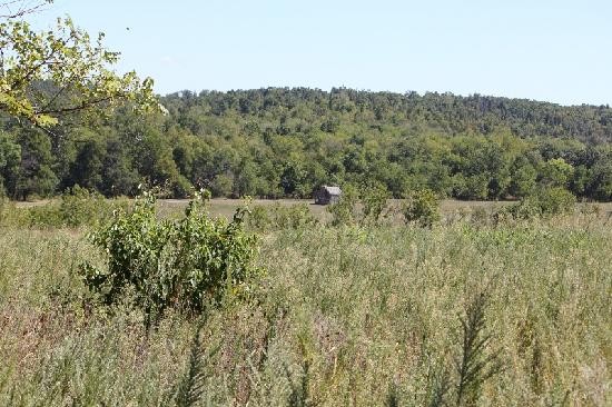 Bloody Hill, site of the bloodiest fighting of the battle. Union forces initially held this ground, but after Sigel was forced off of the battlefield and Gen. Lyon was killed in a charge at Bloody Hill Union troops were forced to retreat.