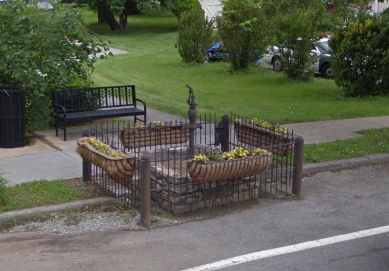 Plant, Outdoor bench, Tree, Road surface