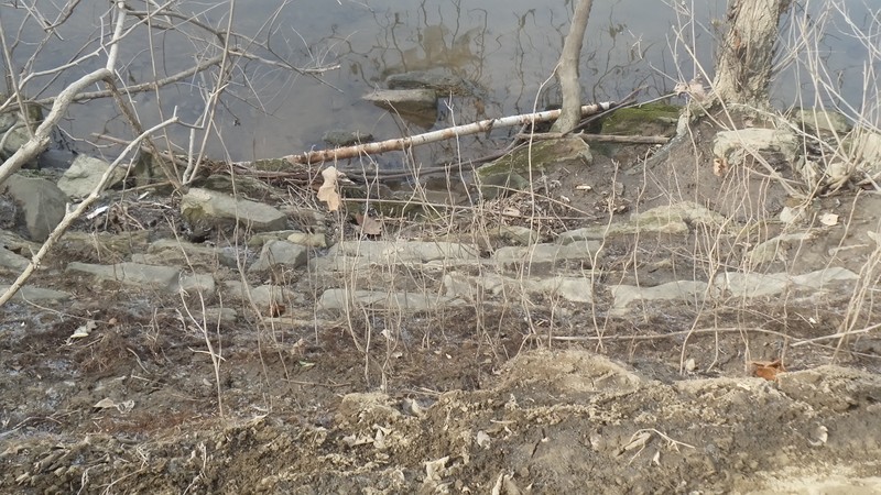 Riverbank dam platform