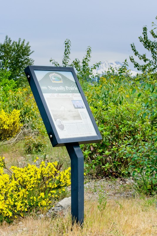 Plant, Plant community, Sky, Ecoregion