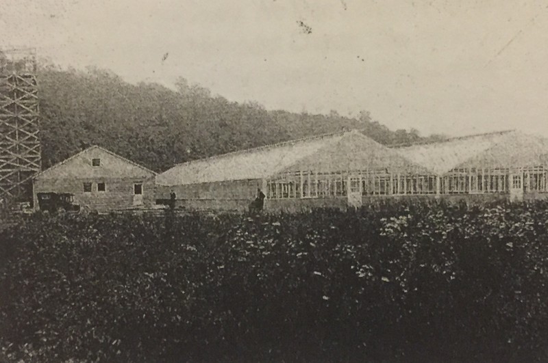 Greenhouse in South Point, Ohio