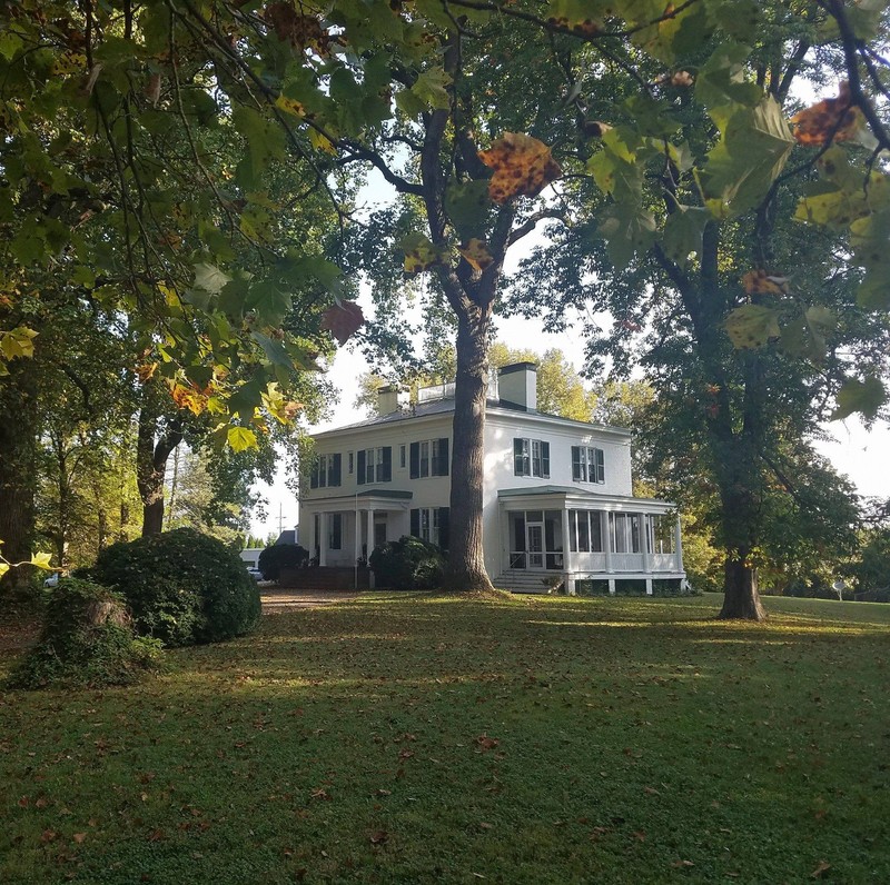 Plant, Building, Tree, Natural landscape