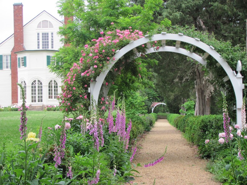 Rose Arbor